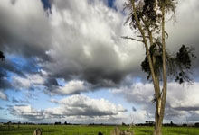 欧冠ds足球是什么?它能为球迷带来哪些独特体验?