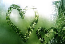 哪里能看五星体育在线直播高清无插件?