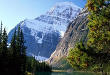 怎么在线观看浙江卫视直播?有哪些靠谱渠道和注意事项?